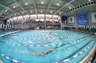 Swimming & Diving vs Babson  Swimming & Diving vs Babson College. - Photo by Keith Nordstrom : Wheaton, Swimming